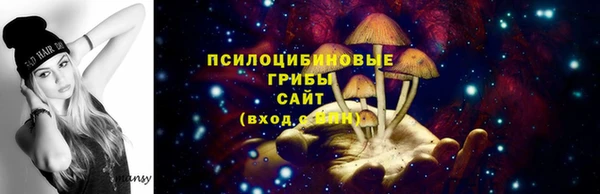 spice Заволжск
