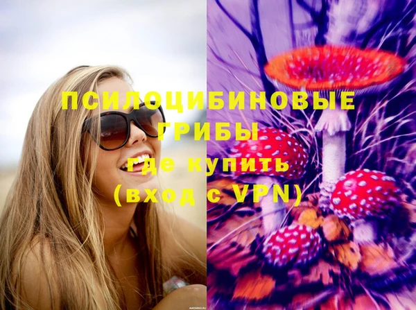 spice Заволжск