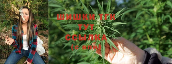 прущая мука Заводоуковск