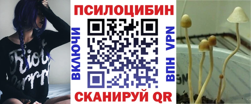 OMG зеркало  где найти   Иннополис  Псилоцибиновые грибы Psilocybine cubensis 